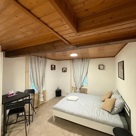 Lejlighed Cosy Avec Wi-fi Et Cuisine Equipee Lausanne