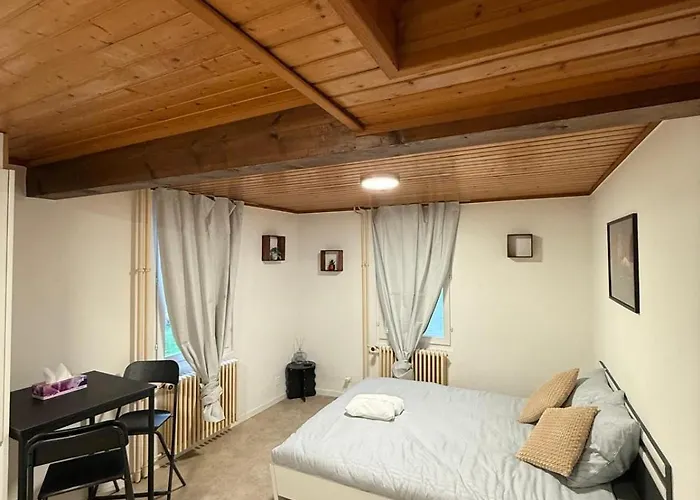 Lejlighed Cosy Avec Wi-fi Et Cuisine Equipee Lausanne